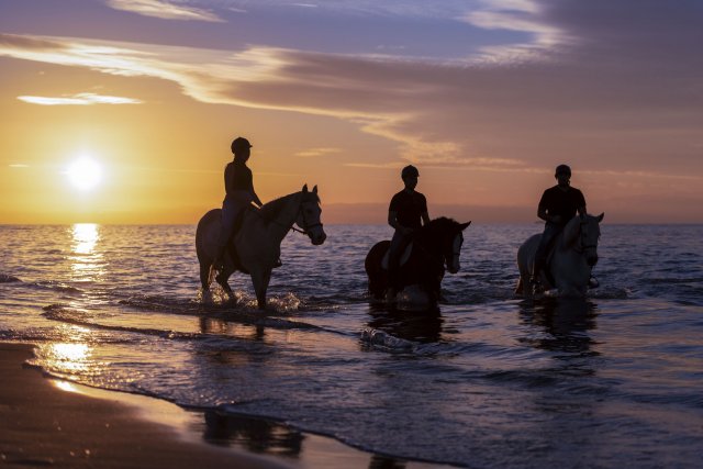 Horseback riding